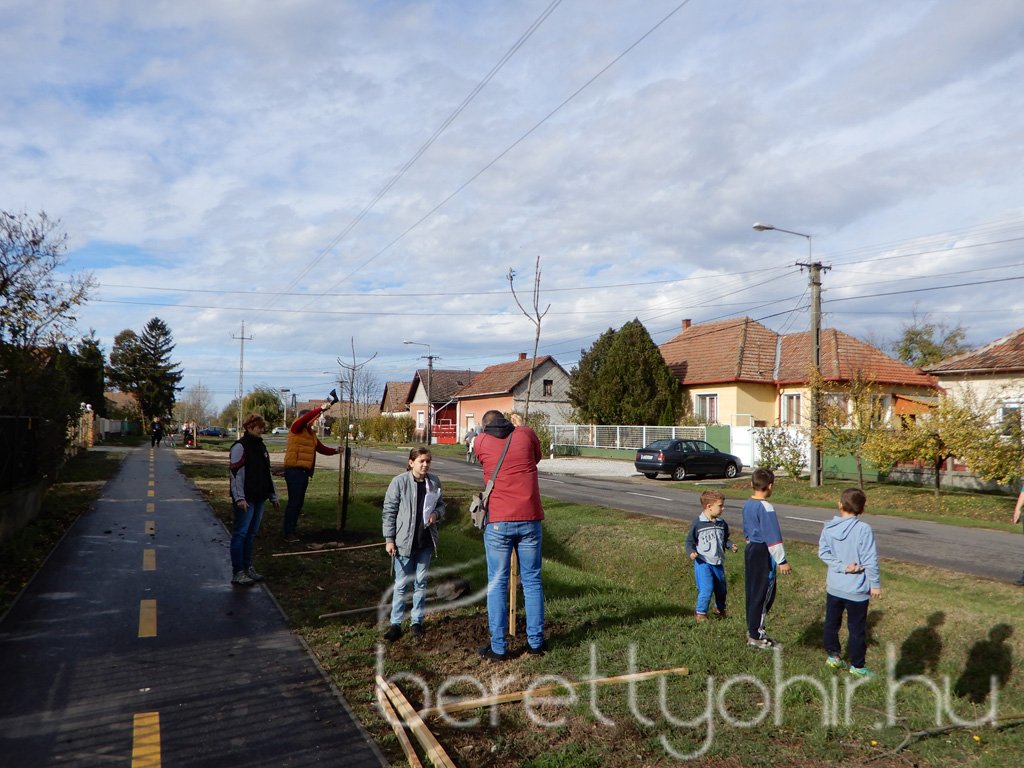 Közösségi faültetés Berettyóújfaluban 46